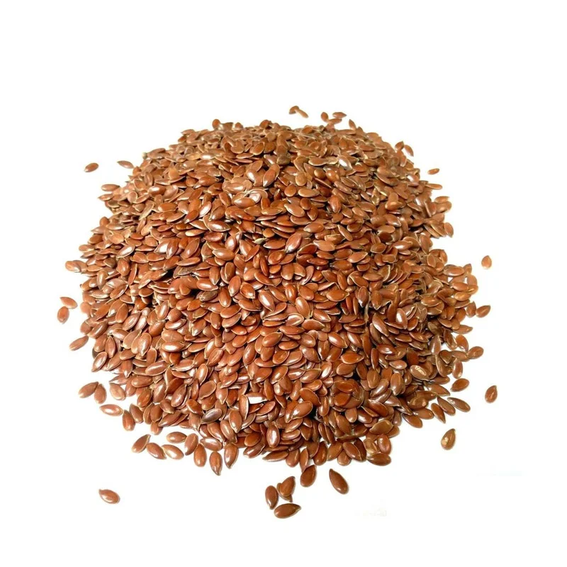 Organic Flax Seeds - Linseeds
