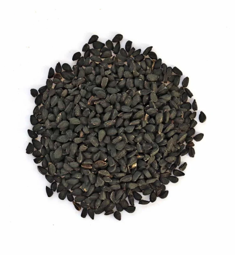Organic Nigella Seeds (Nigella sativa)