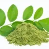 Shade-Dried Moringa Powder Wholesale · Pure Moringa Oleifera