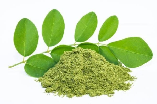 Organic Moringa Powder - Pure Moringa Oleifera Superfood