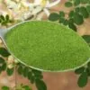 Shade-Dried Moringa Powder Wholesale · Pure Moringa Oleifera