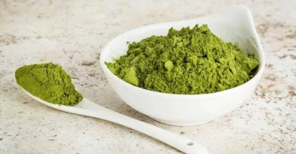 Shade-Dried Moringa Powder Wholesale · Pure Moringa Oleifera