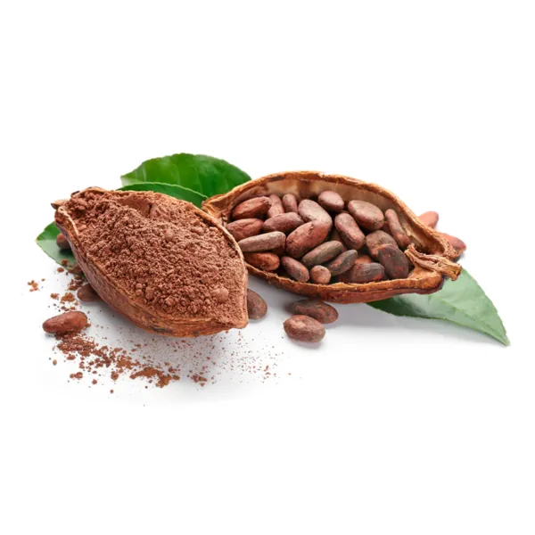 Organic Cocoa Powder - From Ivory Coast