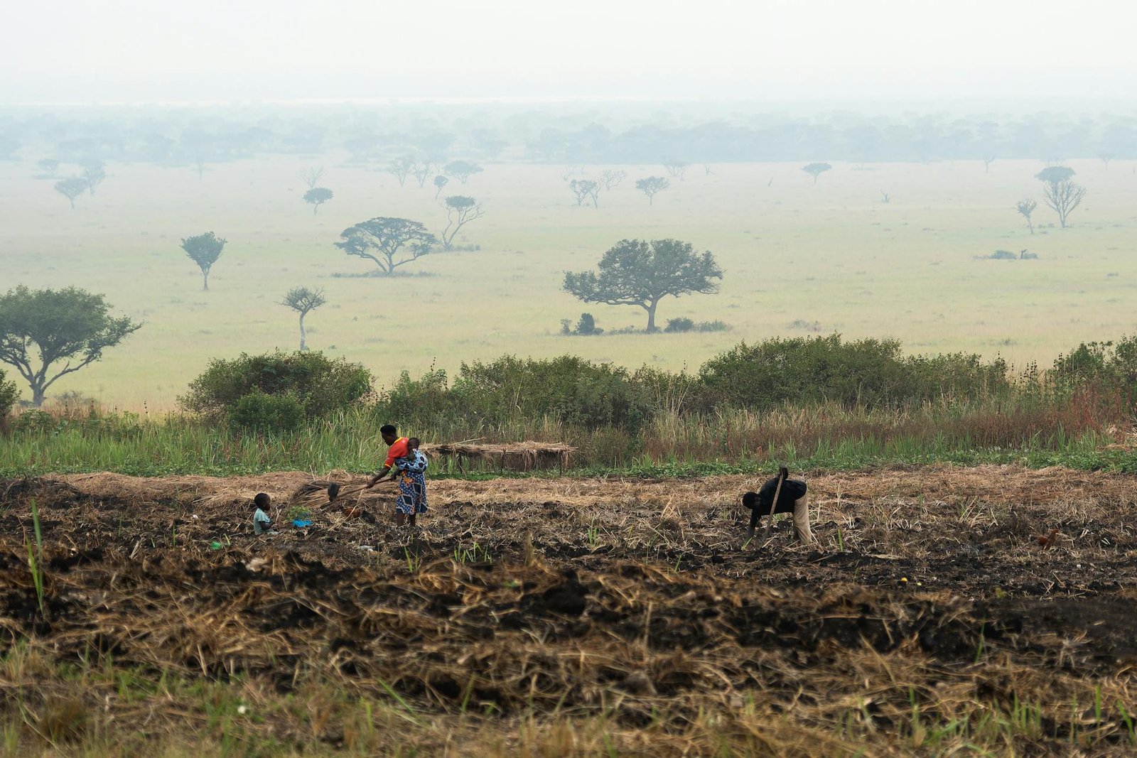 Family tending the soil at the edge of the savanna, northern Africa, dry season